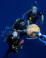Complete Your Scuba Certification Course with South Florida Diving Headquarters