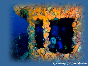 Complete the Wreck Diver Specialty Course with South Florida Diving Headquarters